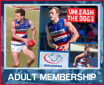 Adult Memberships (No Ticket)